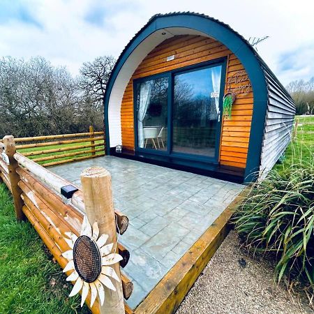 Beech Pod Cabin In Beautiful Surroundings レクサム エクステリア 写真