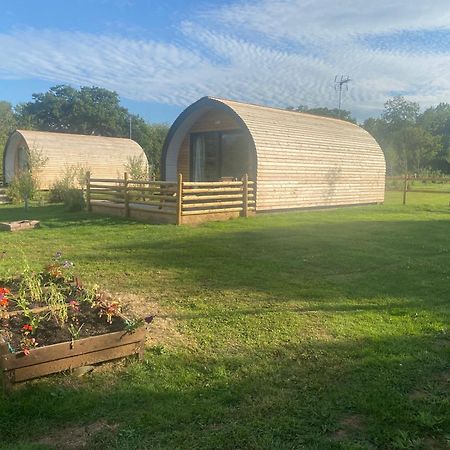 Beech Pod Cabin In Beautiful Surroundings レクサム エクステリア 写真