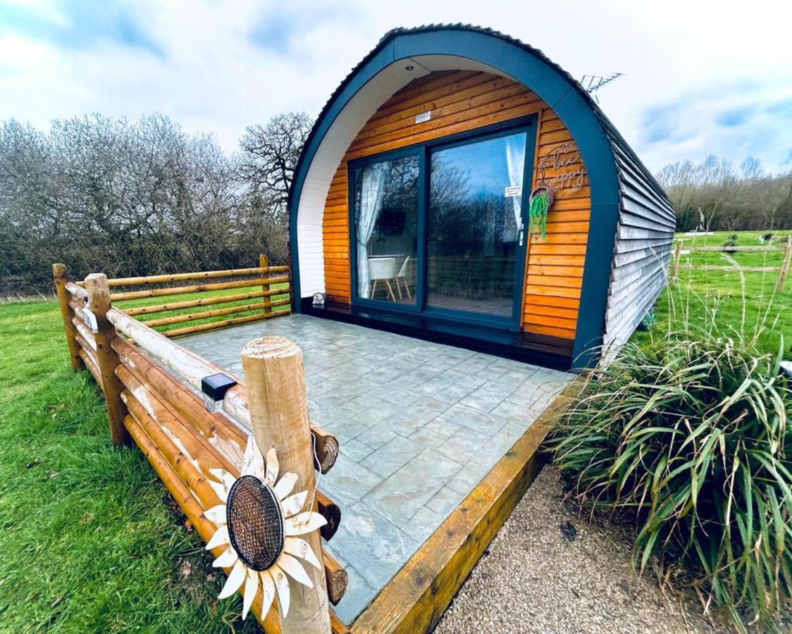 Beech Pod Cabin In Beautiful Surroundings レクサム エクステリア 写真
